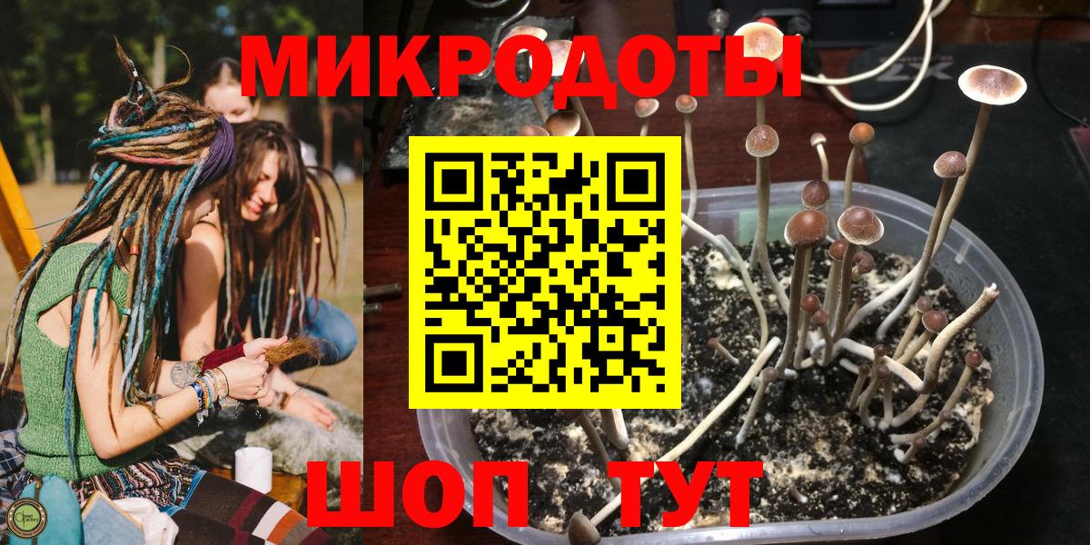 Галлюциногенные грибы Cubensis Еманжелинск
