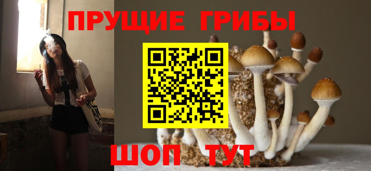 Псилоцибиновые грибы Magic Shrooms  Вход с VPN  Псилоцибиновые грибы мухоморы  Еманжелинск 